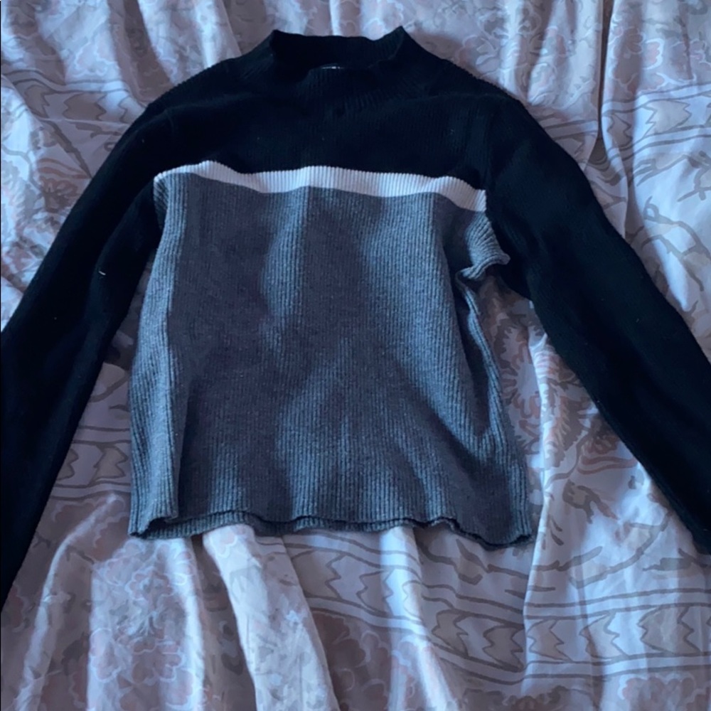 Brandy Melville along Sleeve Crop Top